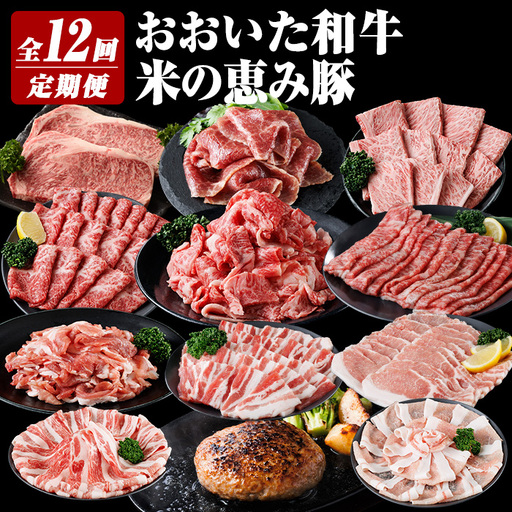おおいた和牛 米の恵み豚 定期便 (全12回) 牛肉 肉 冷凍 国産 和牛 小分け ブランド牛 豚肉 ハンバーグ しゃぶしゃぶ ステーキ 切り落とし [optk006][大分県畜産公社]