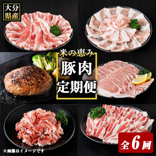 米の恵み豚 定期便 (全6回) 豚肉 肉 ハンバーグ しゃぶしゃぶ ロース 切り落とし 国産 [optk007][大分県畜産公社]