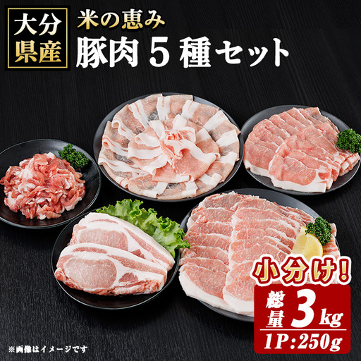 米の恵み 豚肉 5種 セット(総量3kg) 豚肉 肉 ロース しゃぶしゃぶ 切り落とし 生姜焼き トンカツ 国産 小分け [optk008][大分県畜産公社]