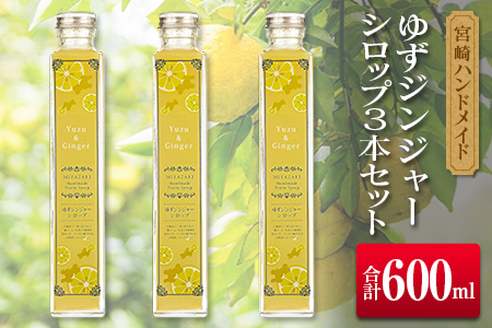 {nhCh@䂸WW[Vbv×3{(v600ml)