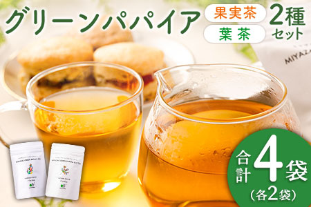 グリーンパパイアティー 2種 セット (果実茶&葉茶) ティーバッグ 計4袋 宮崎県産
