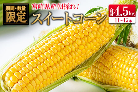 ◆朝採れスイートコーン (合計約4.5kg) 宮崎県産