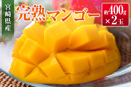 ◇宮崎県産 完熟マンゴー(2玉)
