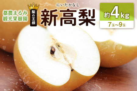ViɂȂj 4kg 7ʁ`9 VR~l͔| iV t[c ʕ  { {茧