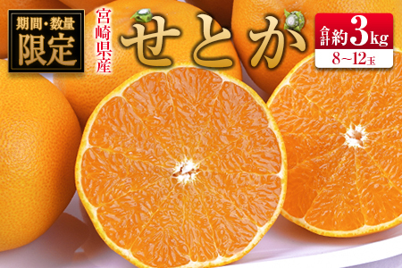 ◇宮崎県産 せとか 約3kg(8〜12玉入)