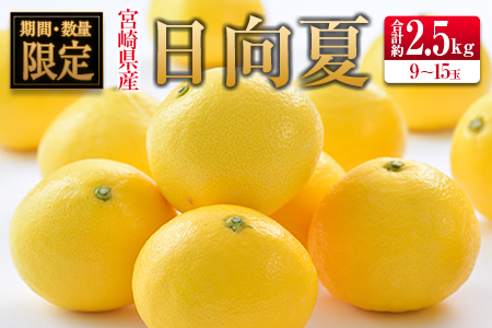 ◇宮崎県産ハウス日向夏 合計約2.5kg(9〜15玉入)