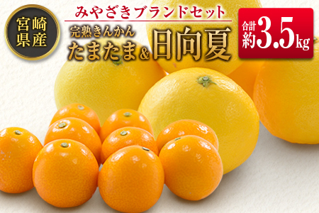 ݂₴uhZbgin񂩂 ܂܁Eājv3.5kg {茧Y