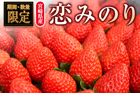 ◆宮崎県産いちご「恋みのり」(計8パック)