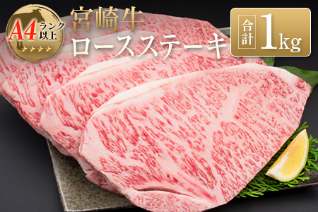 {苍[XXe[L(v1kg)