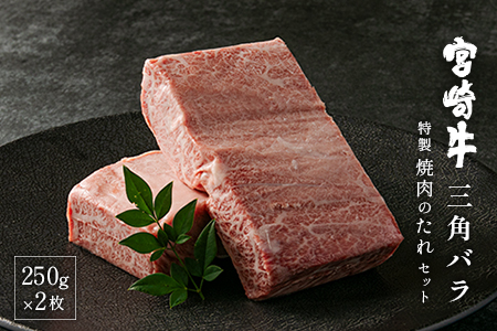 宮崎牛三角バラ(大トロ)250g×2枚 焼肉のたれ220gセット