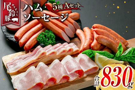 yPREMIUM PORKz  n \[Z[W lߍ킹 v830g 5 AZbg {茧Y