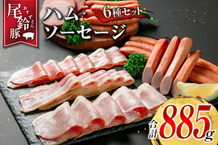 yPREMIUM PORKz  n \[Z[W lߍ킹 v885g 6 Zbg {茧Y