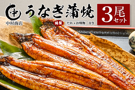 ◆中村商店 うなぎ蒲焼3尾セット 計543g以上