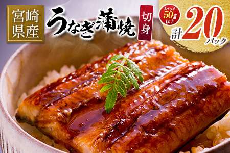 {茧Y Ȃ  ؐg 20pbN v1kg  Y V 20