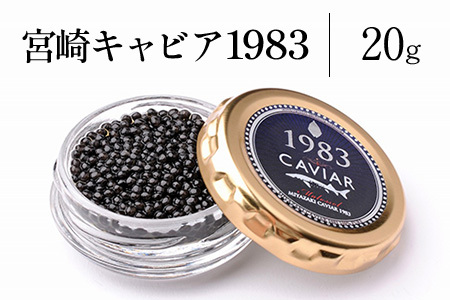 {LrA1983 (20g)
