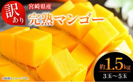 訳あり 完熟 マンゴー 約1.5kg (3玉〜5玉) 宮崎県産 果物 フルーツ