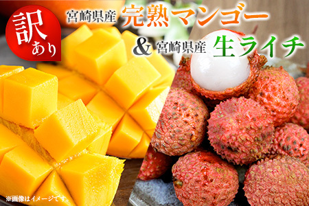 ＜訳あり＞ 完熟 マンゴー 約1kg ＆ 生ライチ 300g 果物 フルーツ 宮崎県産 特産 セット