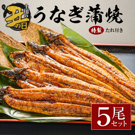 【土用の丑の日】うなぎ蒲焼5尾セット 計905g以上 中村商店