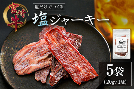 塩だけでつくる 宮崎牛 塩ジャーキー 5袋(20g×5袋)ブランド牛 ビーフジャーキー おつまみ 珍味 グルメ 干し肉 宮崎県産