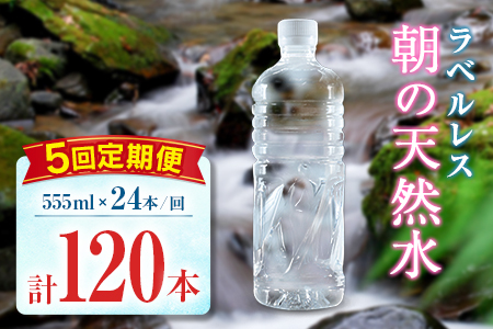 yցz VJ ̓VR 555ml 24{ 5 xX d ~lEH[^[ VJ PCf 퉷ۑ ~ h {茧 AR