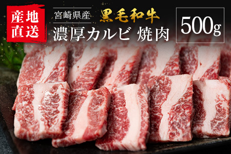 [産地直送]宮崎県産 黒毛和牛 濃厚カルビ 焼肉 500g
