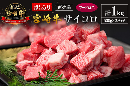 y󂠂蒼izt[hXE 󂠂 {苍 TCR v1kg