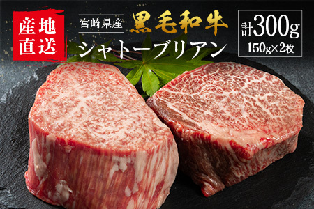 [産地直送]宮崎県産 黒毛和牛 シャトーブリアン ステーキ 2枚