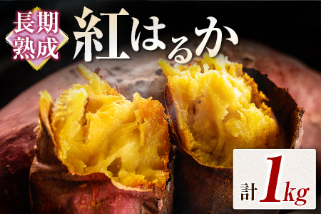 n g͂邩 v1kg {茧ssY ܂ Tc}C