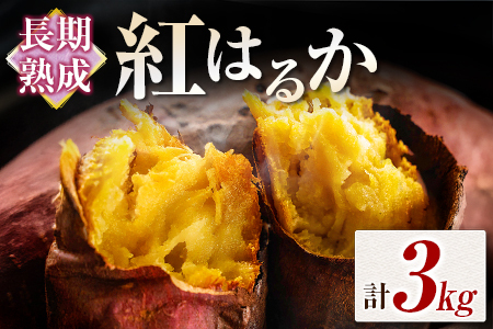 n g͂邩 v3kg {茧ssY ܂ Tc}C