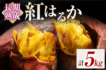 n g͂邩 v5kg {茧ssY ܂ Tc}C