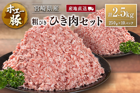 Yn {茧Y zG[ eт Ђ Zbg v2.5kgi250g×10pbNjY ؓ e҂ ~` ҂ 