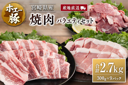 Yn {茧Y zG[ ē oGeB Zbg v2.7kgi300g×9pbNj Y ؓ Ă Hה