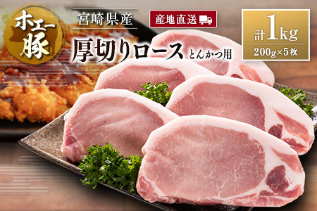 Yn {茧Y zG[ ؂胍[X Ƃ񂩂p v1kgi200g×5j Y ؓ