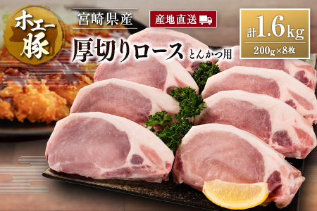 Yn {茧Y zG[ ؂胍[X Ƃ񂩂p v1.6kgi200g×8j Y ؓ