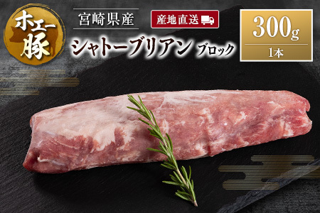 Yn {茧Y zG[ Vg[uA ubN 300g Y ؓ q q ubN Ƃ񂩂 Xe[L