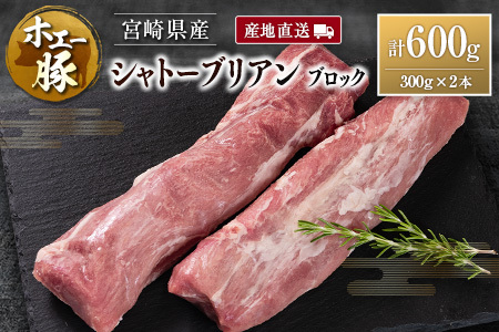 Yn {茧Y zG[ Vg[uA ubN v600gi300g×2{jY ؓ q q ubN Ƃ񂩂 Xe[L