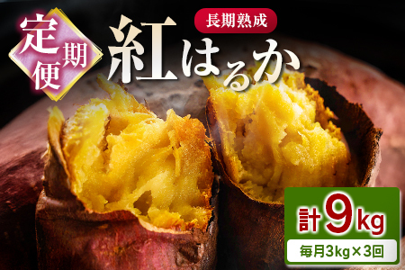 ց3񂨓͂In g͂邩 v9kgi3kg×3j{茧ssY ܂ Tc}C