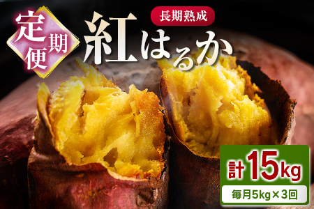 ց3񂨓͂In g͂邩 v15kgi5kg×3j{茧ssY ܂ Tc}C