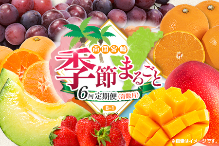 [奇数月 6回定期便]旬 人気 フルーツ 南国宮崎産 マンゴー ピオーネ いちご みかん メロン 柑橘 ぶどう 果物 詰め合わせ 宮崎県 九州[B-1コース M210]
