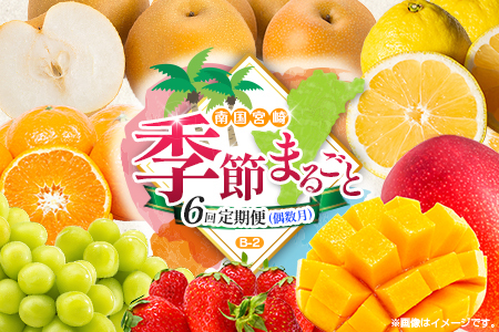 [偶数月 6回定期便]旬 人気 フルーツ 南国宮崎産 マンゴー シャインマスカット いちご 日向夏 梨 みかん 柑橘 ぶどう 果物 詰め合わせ 宮崎県 九州[B-2コース M220]
