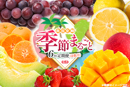 [奇数月 6回定期便]旬 人気 フルーツ 南国宮崎産 マンゴー ピオーネ いちご みかん メロン 日向夏 柑橘 ぶどう 果物 詰め合わせ 宮崎県 九州[C-1コース M310]