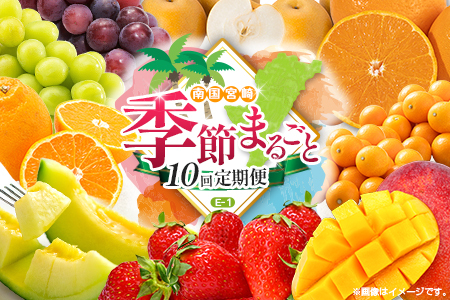 [10回定期便]旬 人気 フルーツ 南国宮崎産 太陽のタマゴ 金柑たまたまエクセレント シャインマスカット ピオーネ いちご みかん 梨 メロン 柑橘 マンゴー きんかん たまたま ぶどう 果物 詰め合わせ 宮崎県 九州[E-1コース M500]