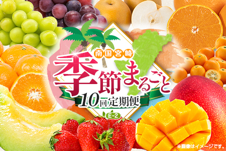 [10回定期便]旬 人気 フルーツ 南国宮崎産 マンゴー 金柑たまたま シャインマスカット ピオーネ いちご みかん 梨 メロン 柑橘 きんかん ぶどう 果物 詰め合わせ 宮崎県 九州[E-2コース M600]