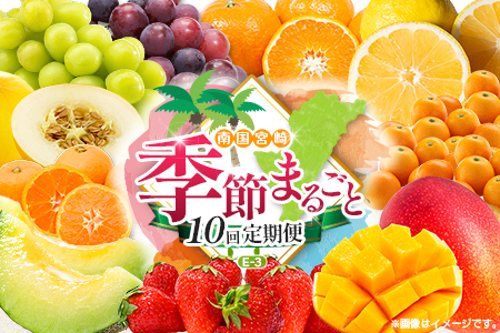 [10回定期便]旬 人気 フルーツ 南国宮崎産 マンゴー 金柑たまたま シャインマスカット ピオーネ いちご みかん 日向夏 メロン 柑橘 きんかん ぶどう 果物 詰め合わせ 宮崎県 九州[E-3コース M700]