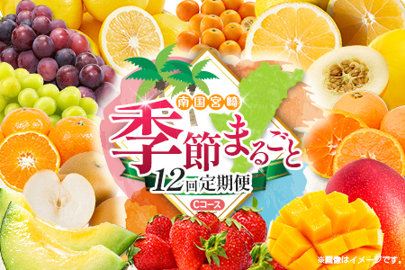 [12回定期便]旬 人気 フルーツ 南国宮崎産 マンゴー 金柑たまたま シャインマスカット ピオーネ いちご みかん 日向夏 メロン 梨 柑橘 きんかん ぶどう 果物 詰め合わせ 宮崎県 九州 1年 毎月お届け[Cコース M300]