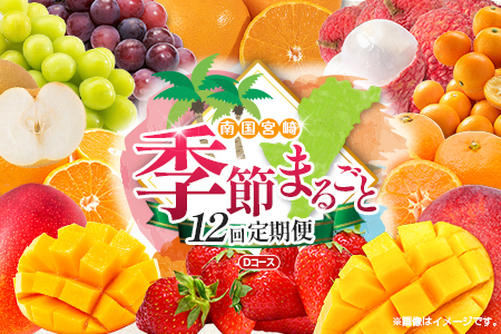 [12回定期便]旬 人気 フルーツ 南国宮崎産 マンゴー ライチ 金柑たまたまエクセレント シャインマスカット ピオーネ いちご みかん 梨 柑橘 太陽のタマゴ きんかん たまたま ぶどう 果物 詰め合わせ 宮崎県 九州 1年 毎月お届け[Dコース M400]