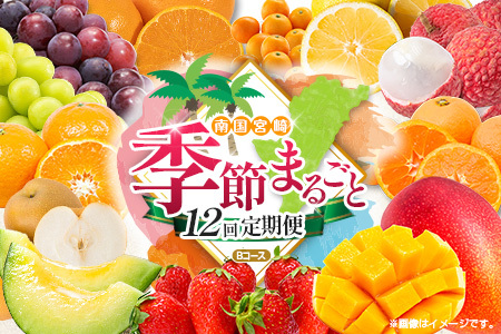 [12回定期便]旬 人気 フルーツ 南国宮崎産 マンゴー ライチ 金柑たまたま シャインマスカット ピオーネ いちご みかん 日向夏 メロン 梨 柑橘 きんかん ぶどう 果物 詰め合わせ 宮崎県 九州 1年 毎月お届け[Bコース M200]
