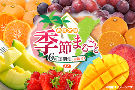 [奇数月 6回定期便]旬 人気 フルーツ 南国宮崎産 太陽のタマゴ ピオーネ いちご みかん メロン マンゴー 柑橘 ぶどう 果物 詰め合わせ 宮崎県 九州[A-1コース M110]