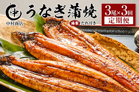 ������ց�3��×�S3�� ���Y ���Ȃ� ���� �L�� �v1.6kg�ȏ�i1�񂠂��� �v543g�ȏ�j ����t�� �{�茧�Y �V �������X