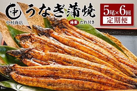 ������ց�5��×�S6�� ���Y ���Ȃ� ���� �L�� �v5.4kg�ȏ�i1�񂠂��� �v905g�ȏ�j ����t�� �{�茧�Y �V �������X